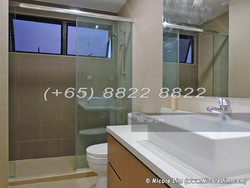 Dover Parkview (D5), Condominium #189132772